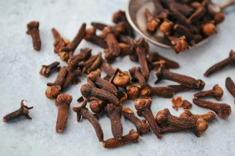 What is Clove Extract? (Eugenia Caryophyllus) Benefits